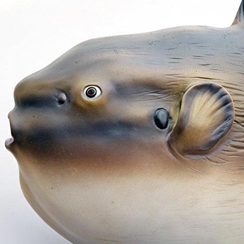Amazon | マンボウ ビニールモデル(FM-313) | フィギュア・ドール 通販